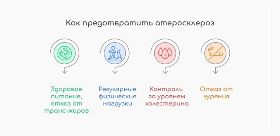 Как предотвратить атеросклероз (инфографика)